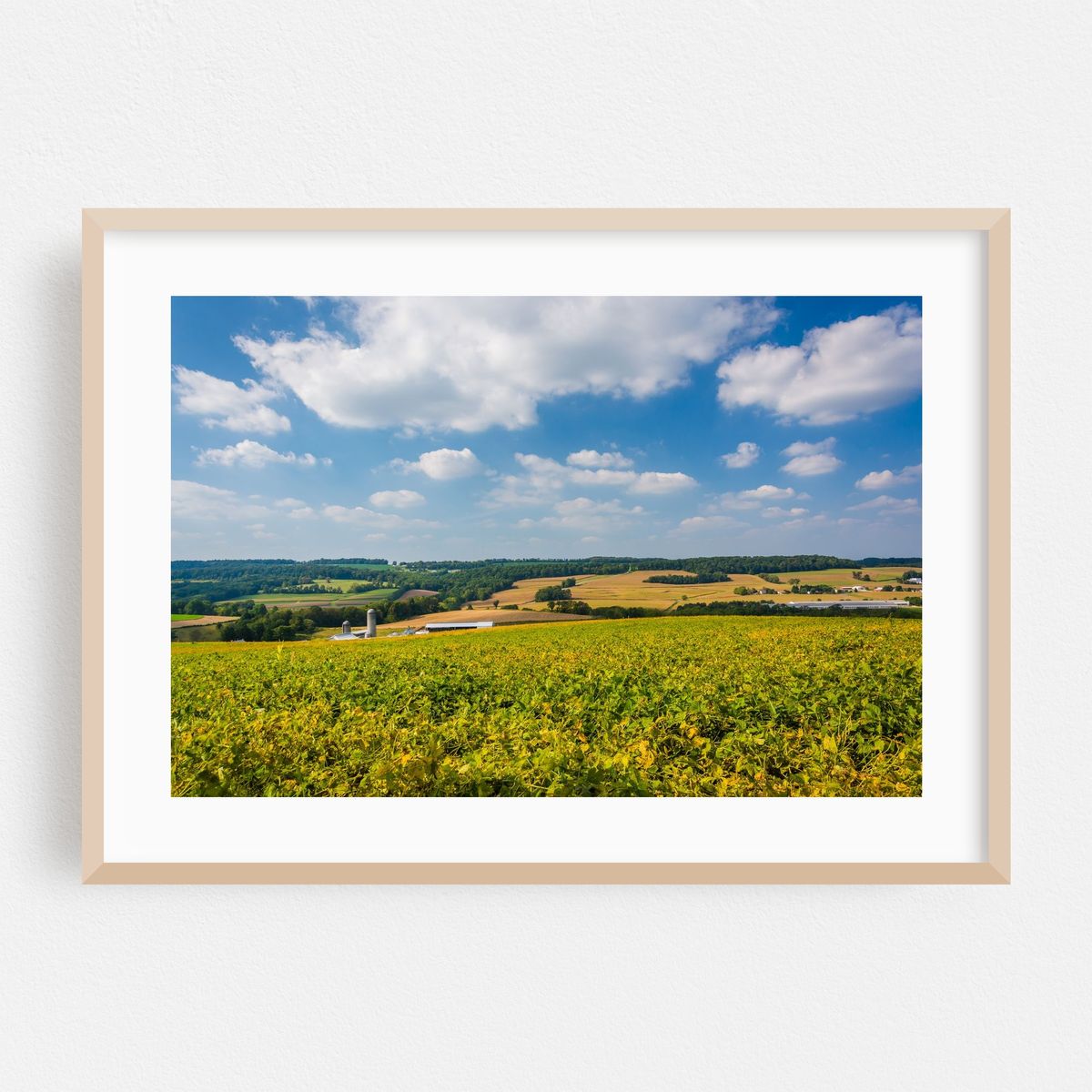 Rolling Hills, Open Fields – image 1 of 6