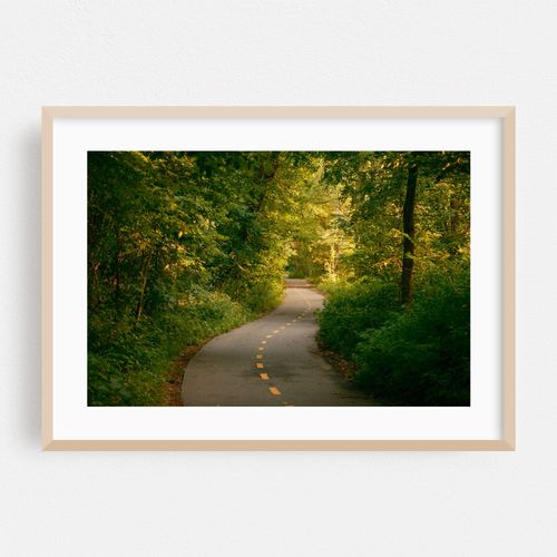 Van Cortlandt Park Path, The Bronx