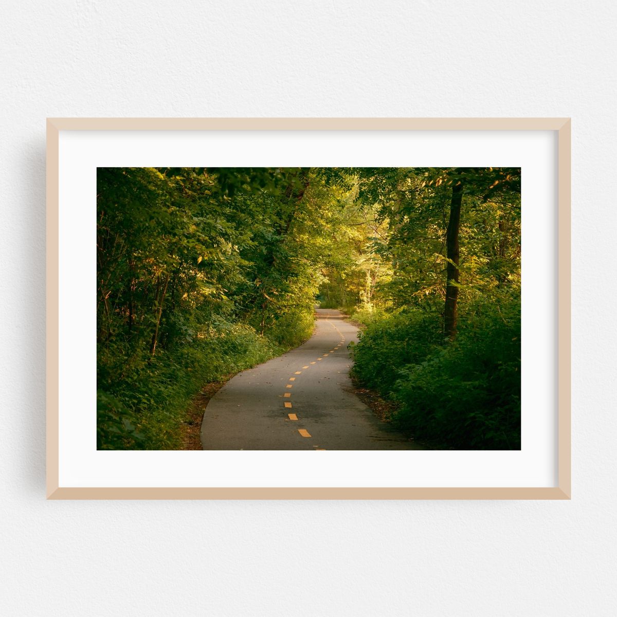 Van Cortlandt Park Path, The Bronx – image 1 of 6