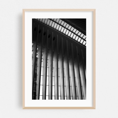 Oculus 03