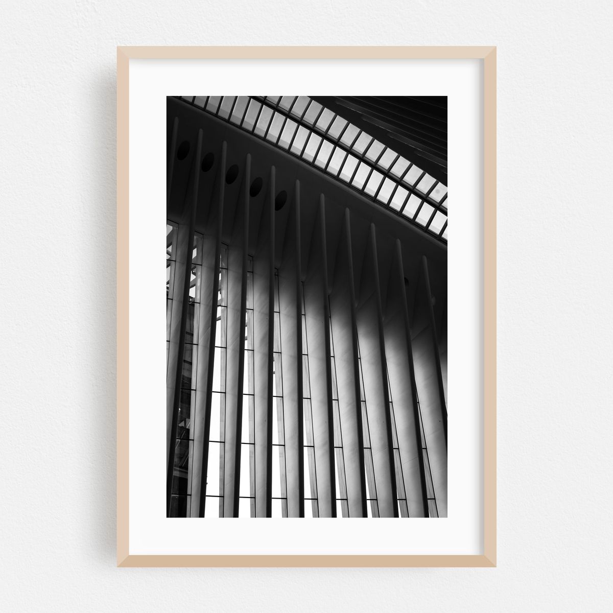Oculus 03 – image 1 of 16