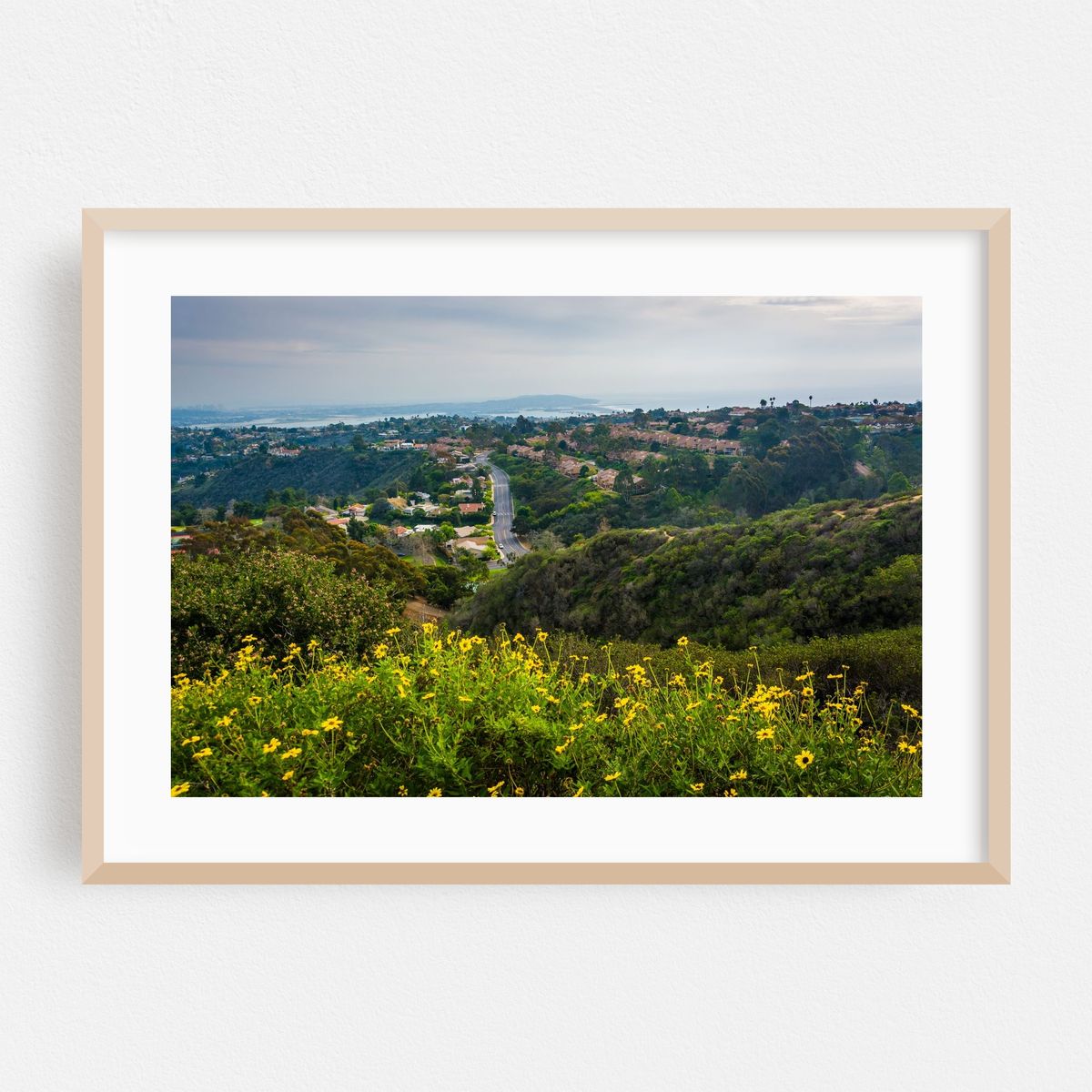 Yellow Flowers from Mount Soledad – image 1 of 6
