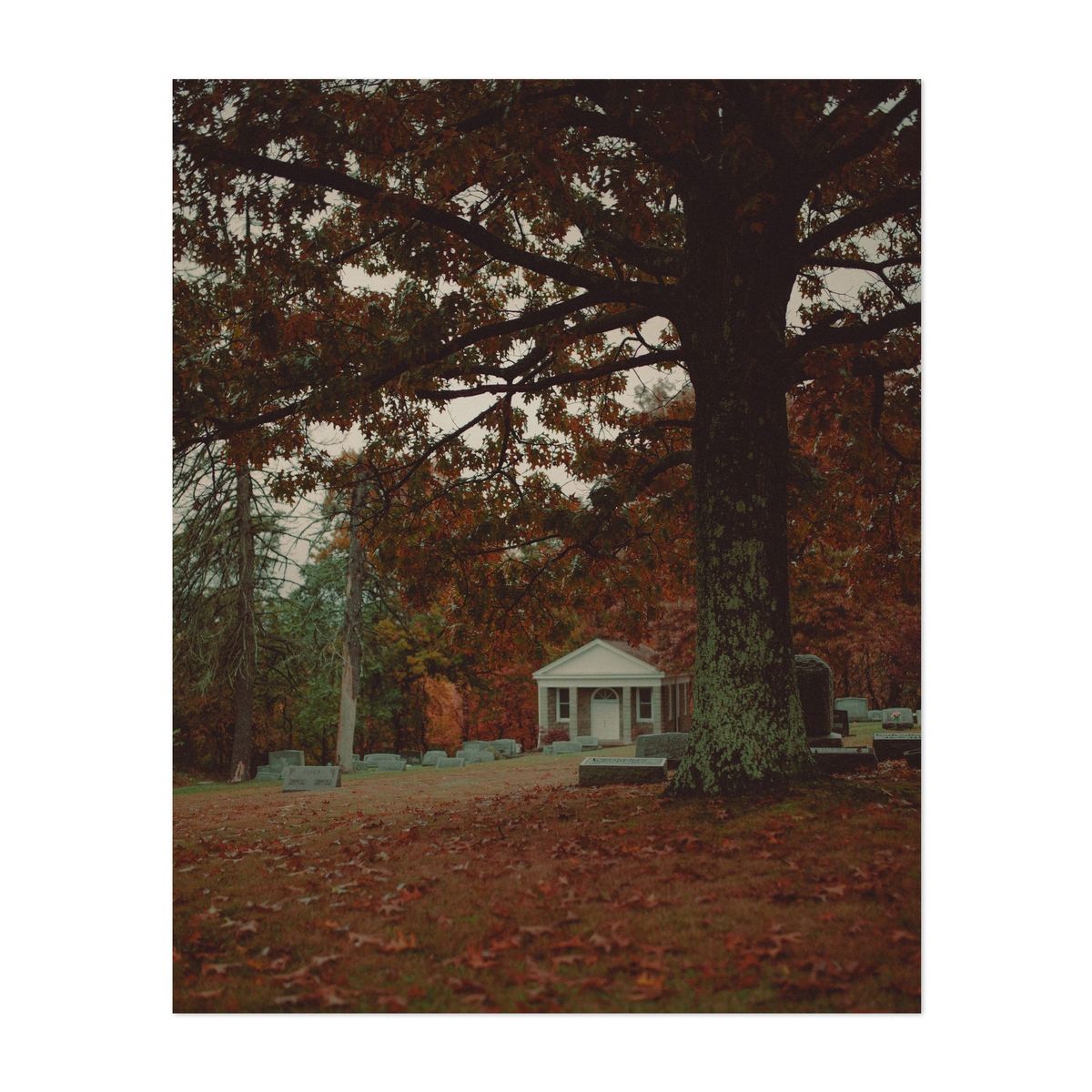 Night of the Living Dead Cemetery 08 – image 1 of 2