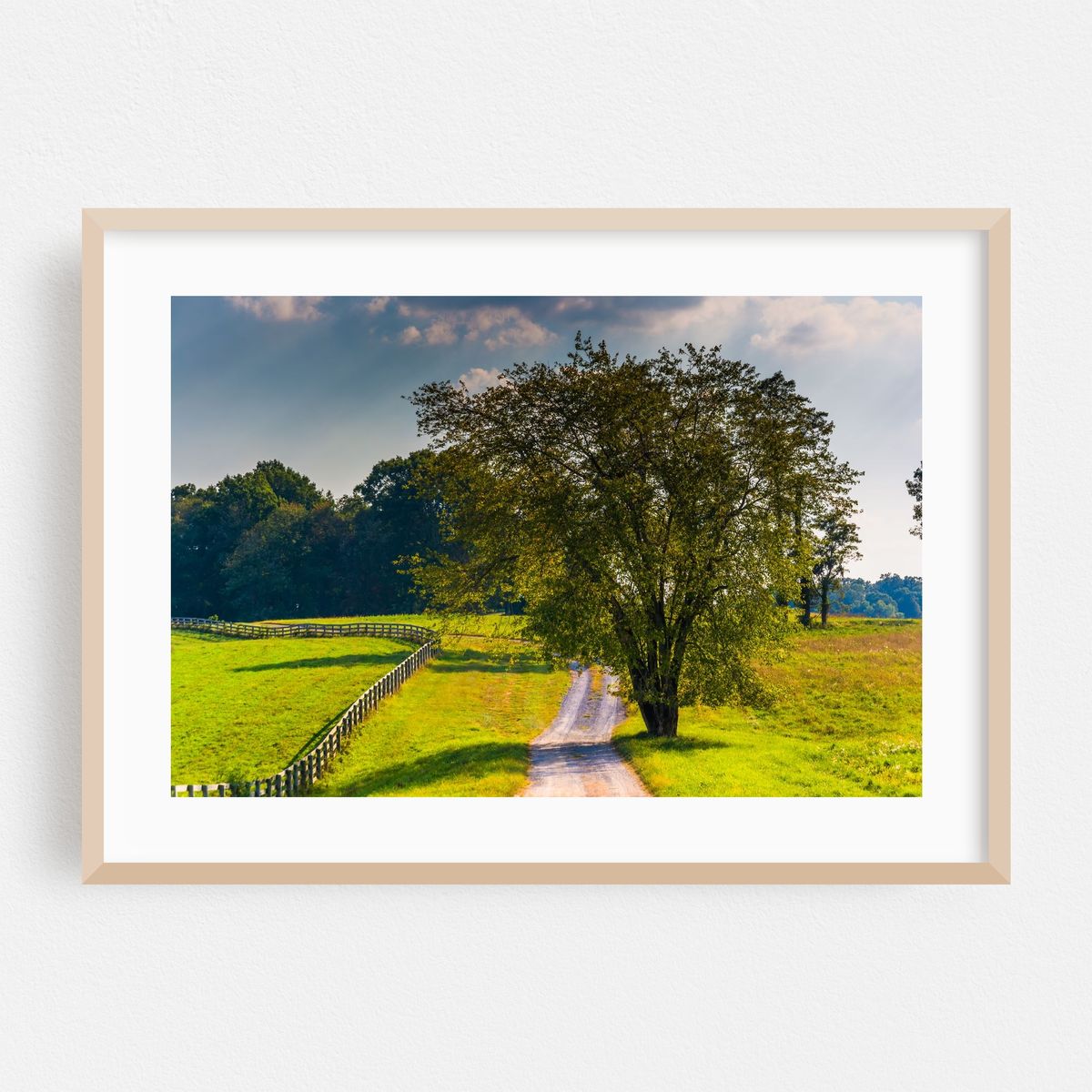The Heart of Howard County – image 1 of 6