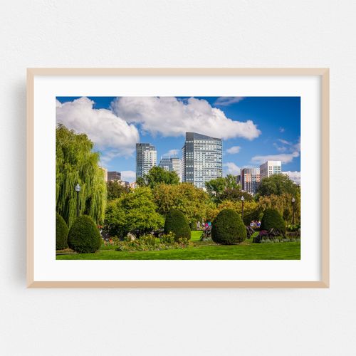 The Public Garden 03