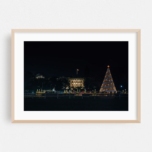 National Christmas Tree 01