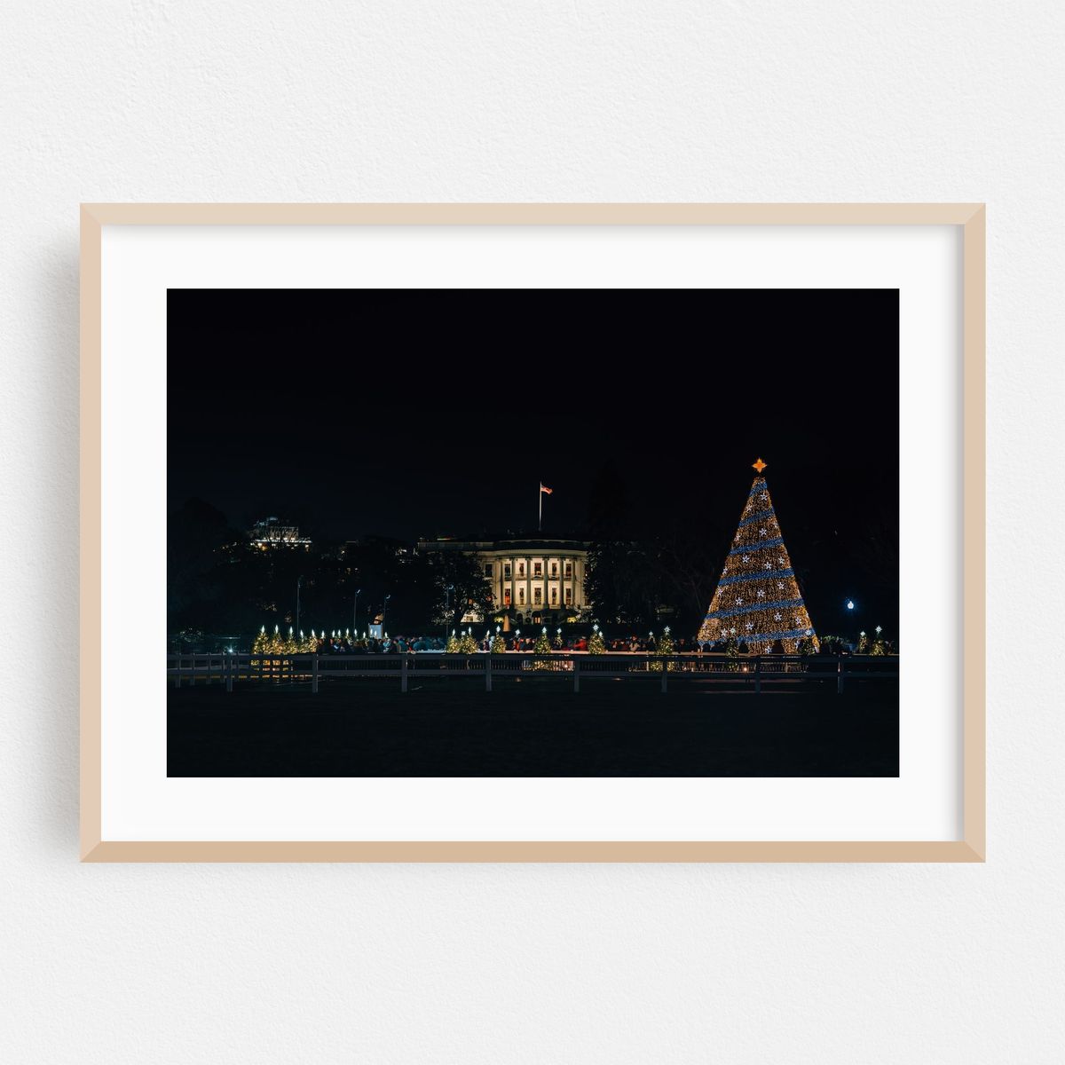 National Christmas Tree 01 – image 1 of 6