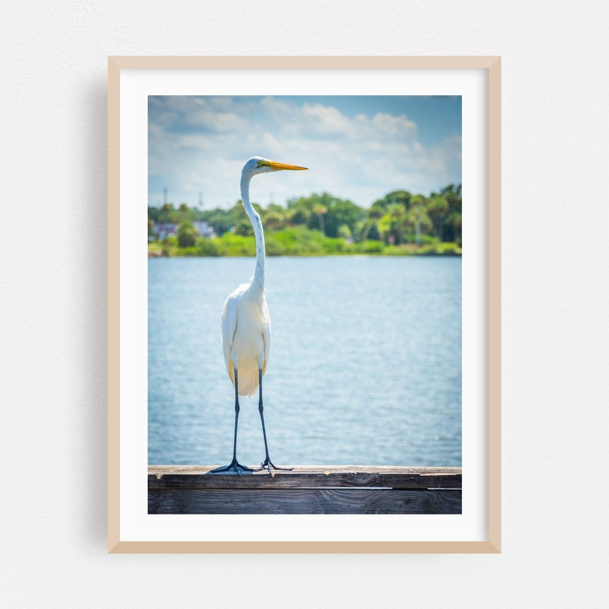 Egret On A Pier, Miami 02 – image 1 of 3