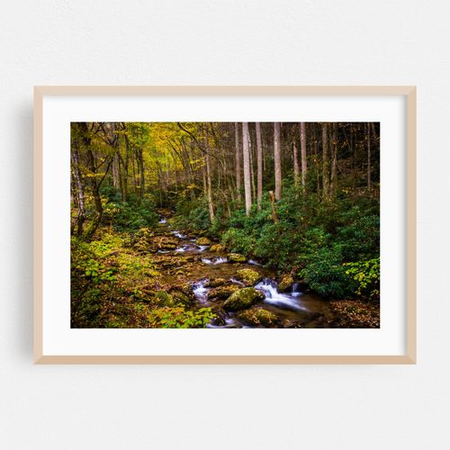 Stoney Fork Cascades 02
