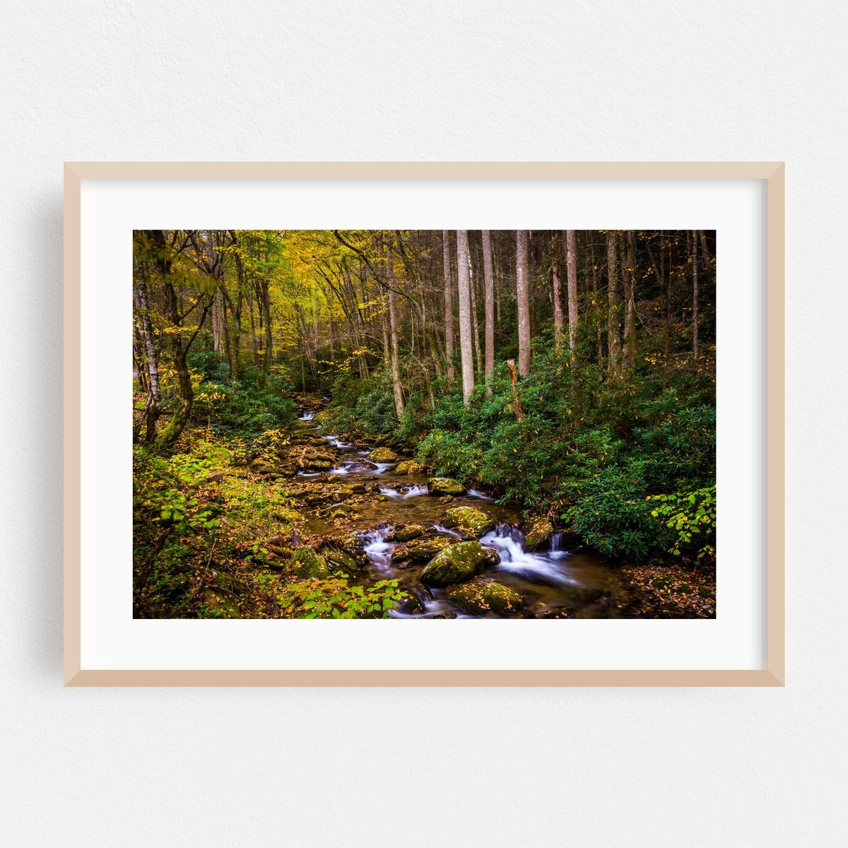 Stoney Fork Cascades 02 – image 1 of 6