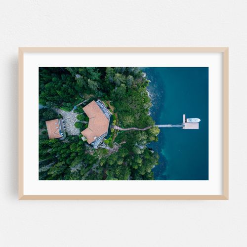 Mount Desert Birds' Eye