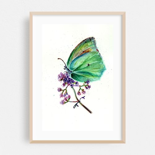 Green Butterfly