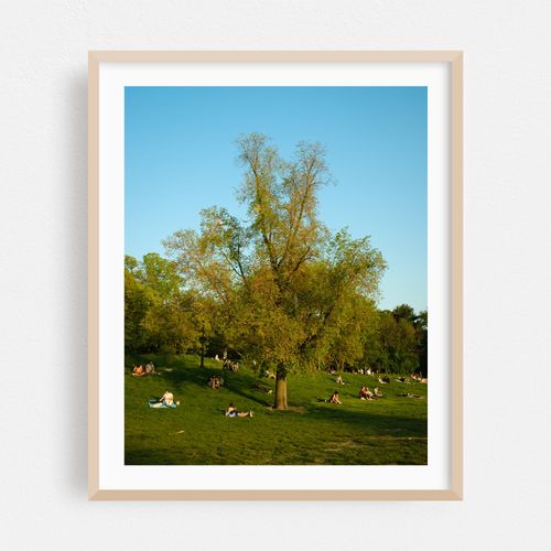 Spring Evening in Prospect Park 02