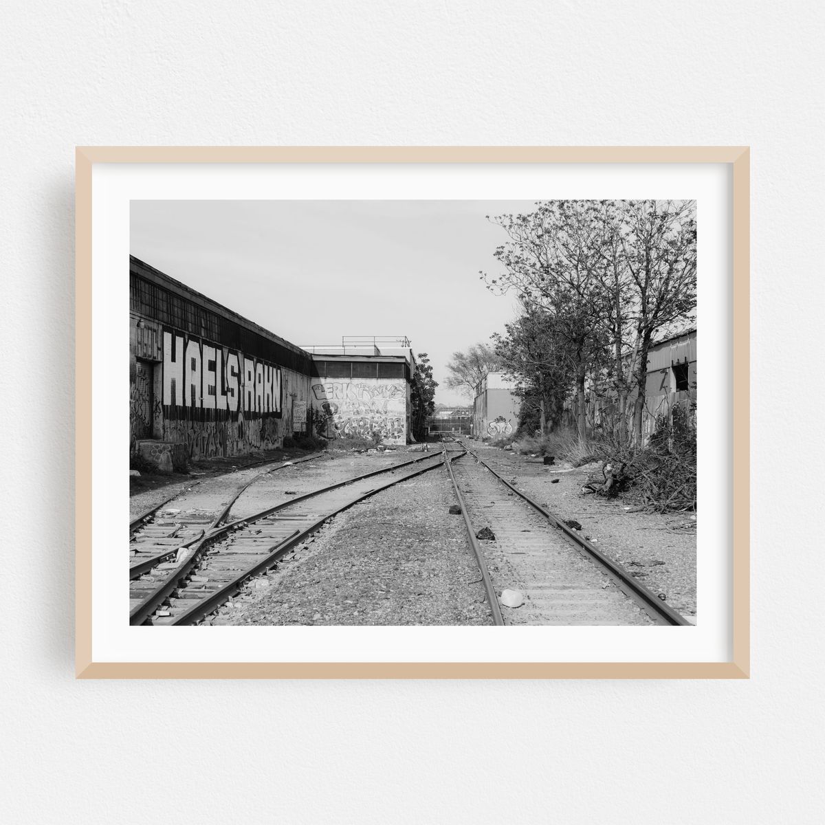 Rail, East Williamsburg 02 B&W – image 1 of 3