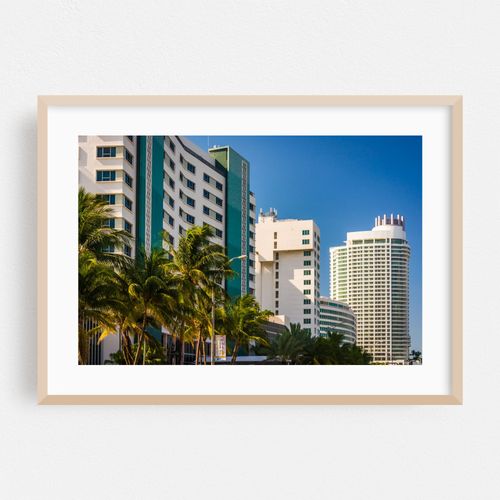Miami White