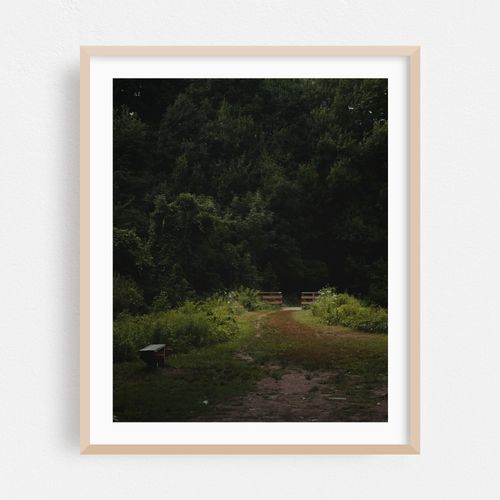 Woodland Trail 01