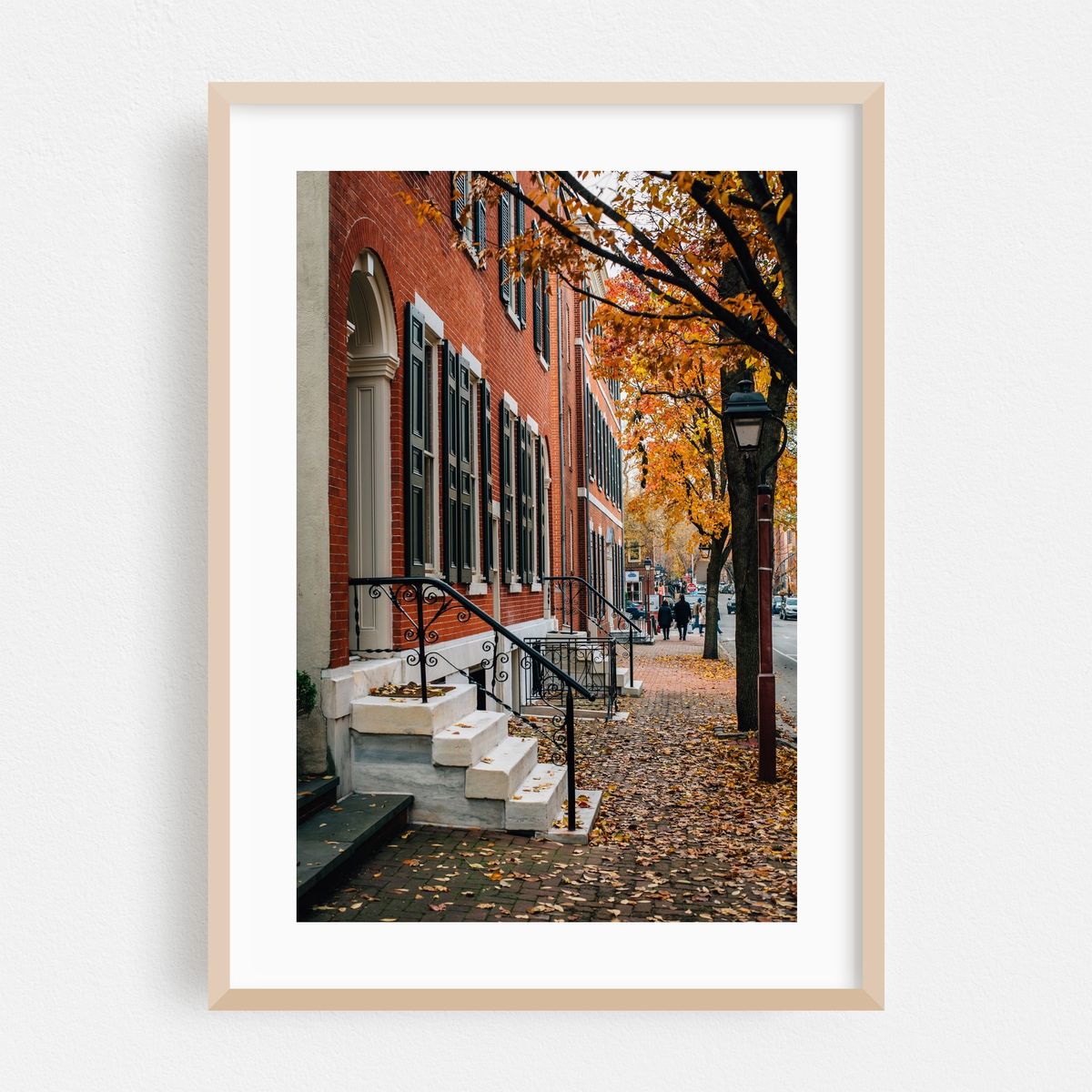 Philly Autumn – image 1 of 16
