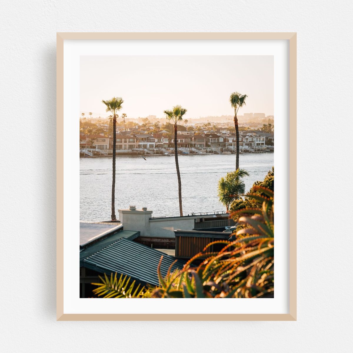 Palms, Corona del Mar 03 – image 1 of 12
