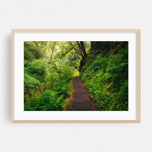 Trails 02