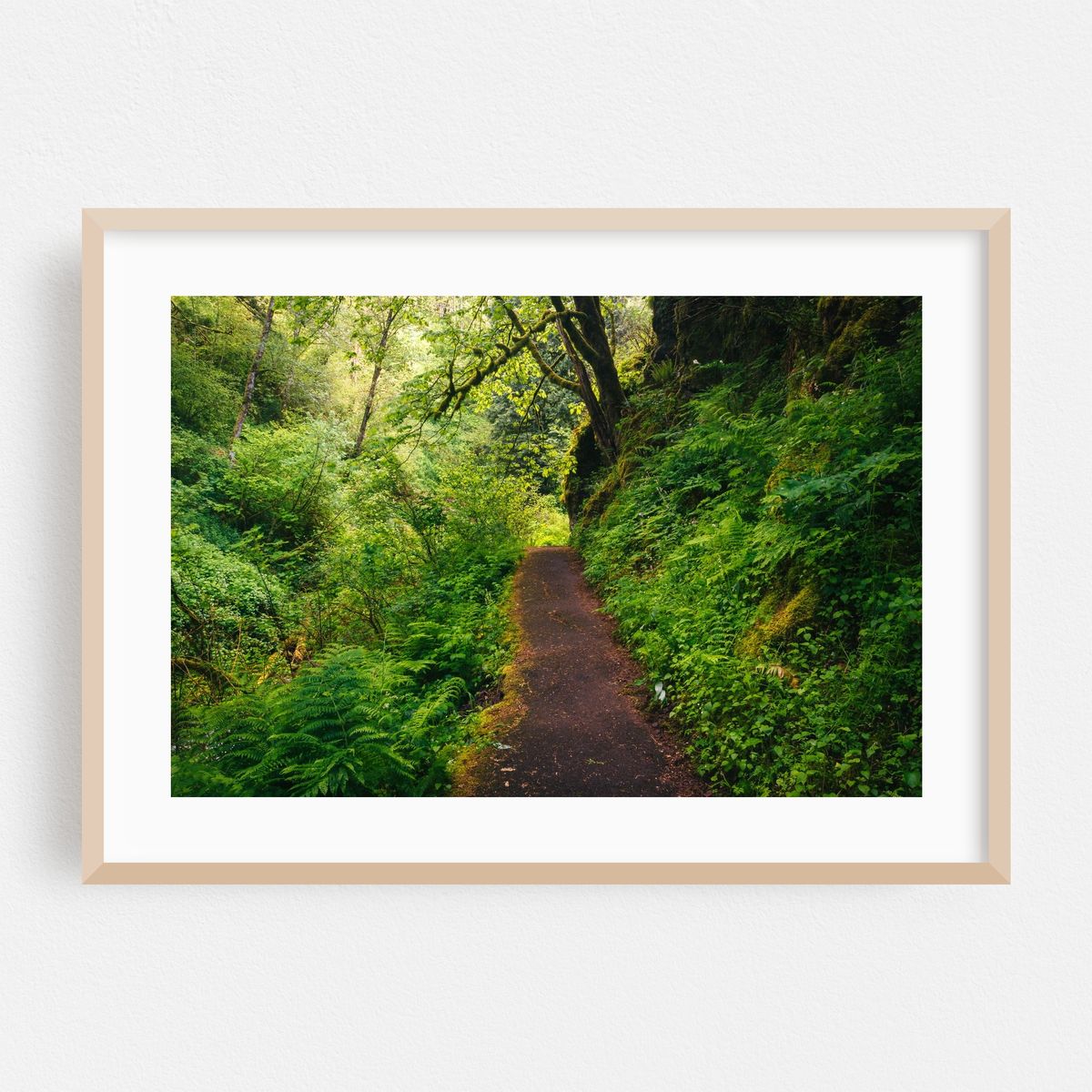 Trails 02 – image 1 of 6