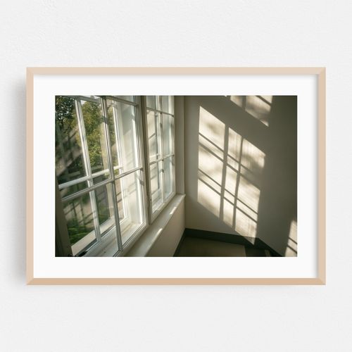 Shadows & Light 01