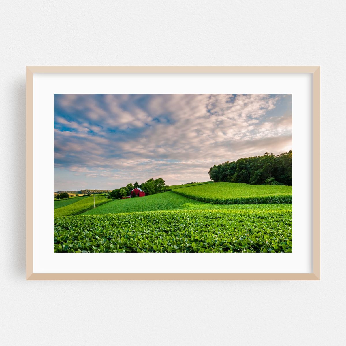 Green Pastures – image 1 of 6