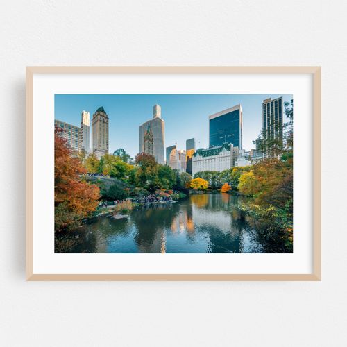 The Pond 04