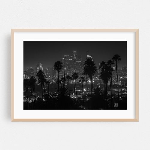 DTLA & Palms B&W