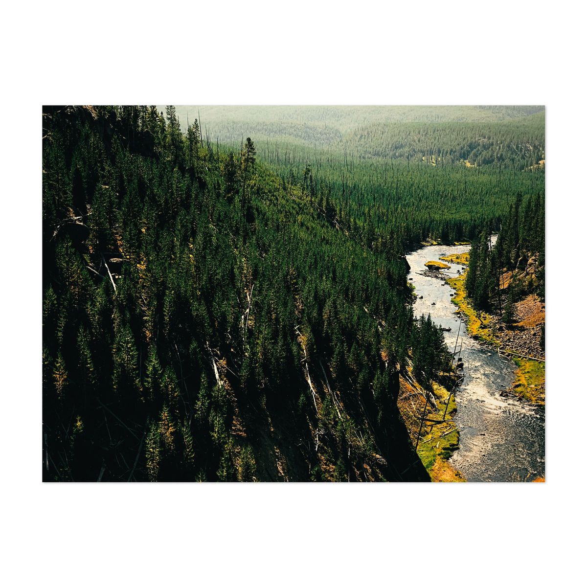 Wilderness Flow – image 1 of 2