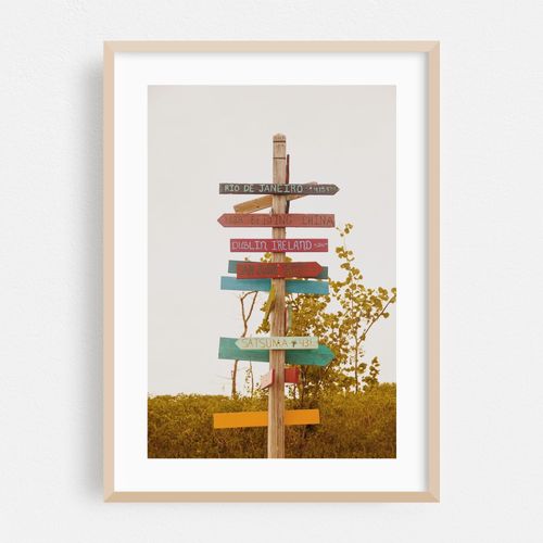 Where to Next?