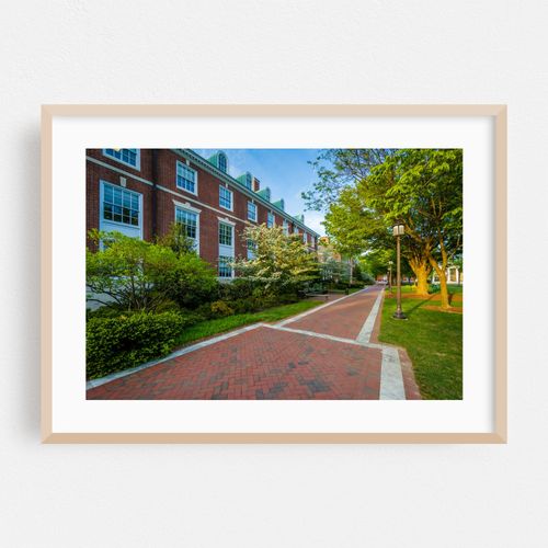 The Heart of JHU