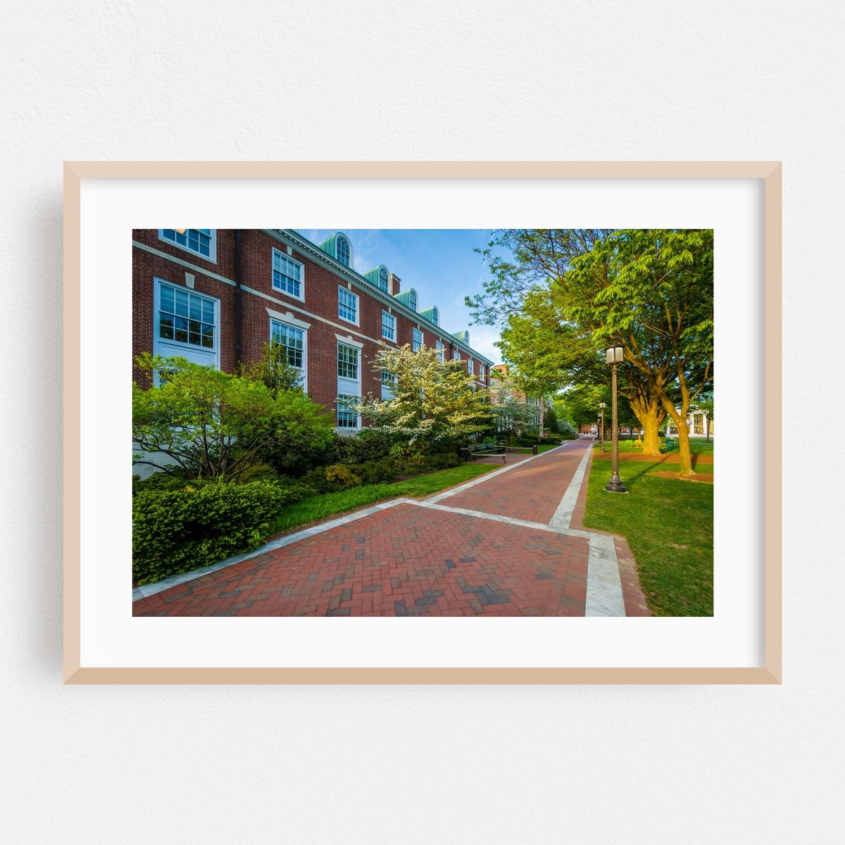 The Heart of JHU – image 1 of 6