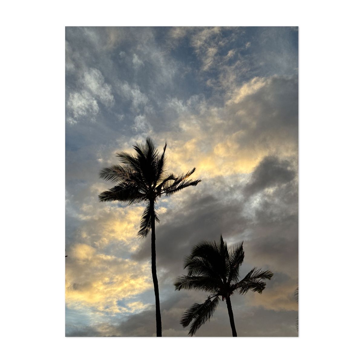Sunset Silhouettes – image 1 of 2