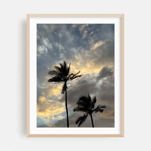 Sunset Silhouettes