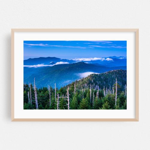 In The Smokies