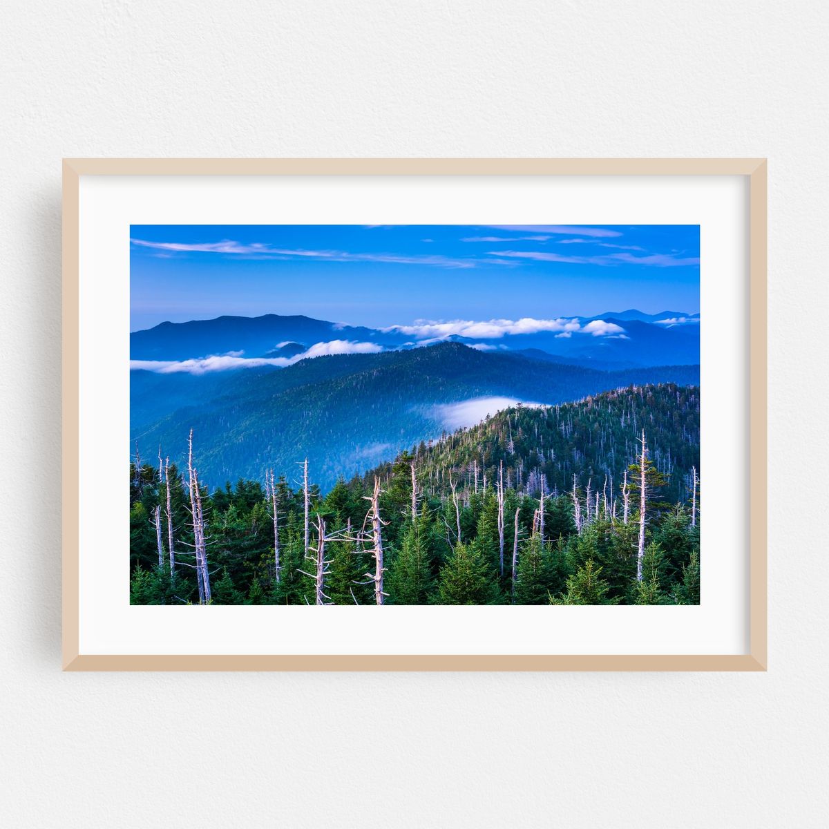 In The Smokies – image 1 of 6