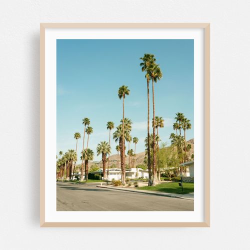 Palms in Palm Springs 01