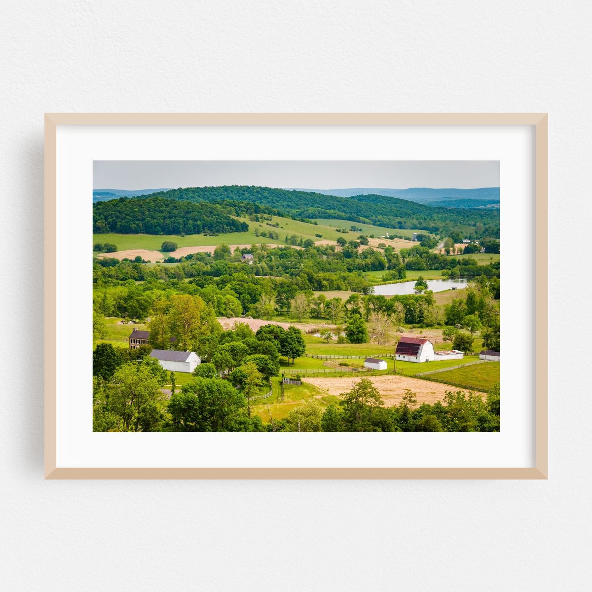 From Sky Meadows – image 1 of 6
