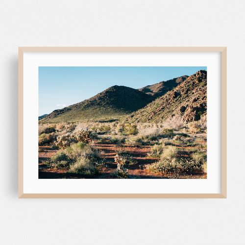 Desert Landscape, Joshua Tree 03