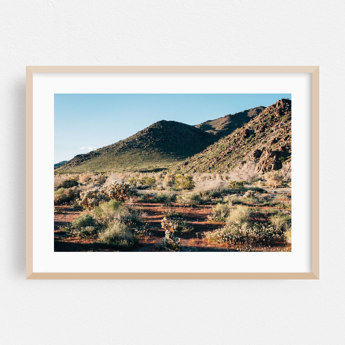 Desert Landscape, Joshua Tree 03 – image 1 of 6