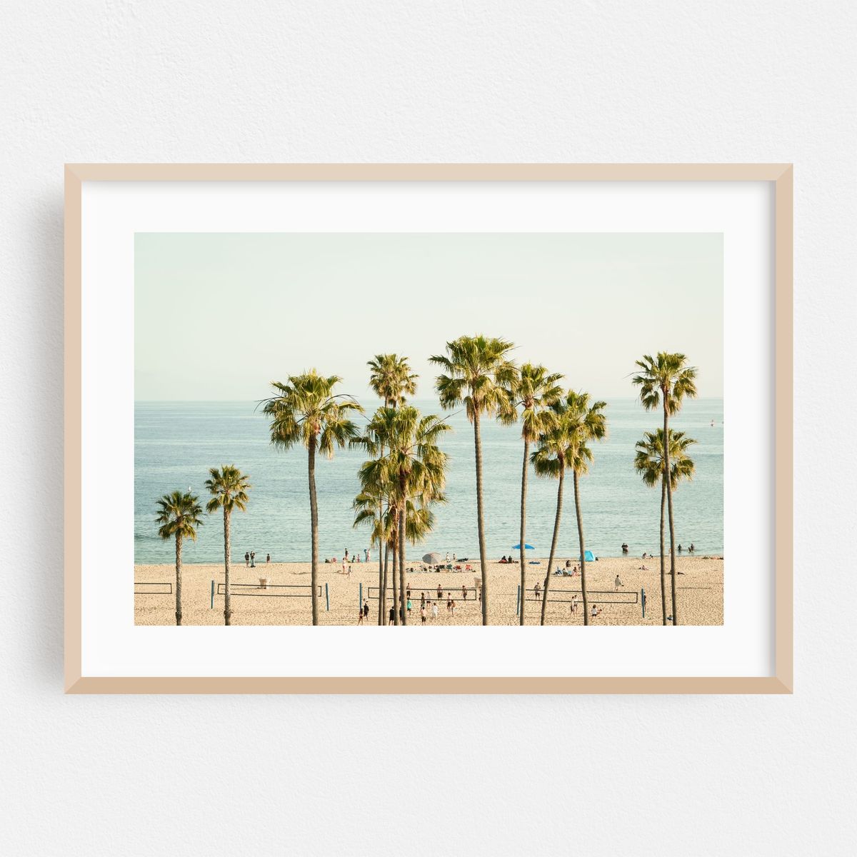 Palm Trees, Corona Del Mar – image 1 of 6