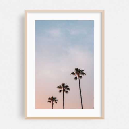 Sunset Palms