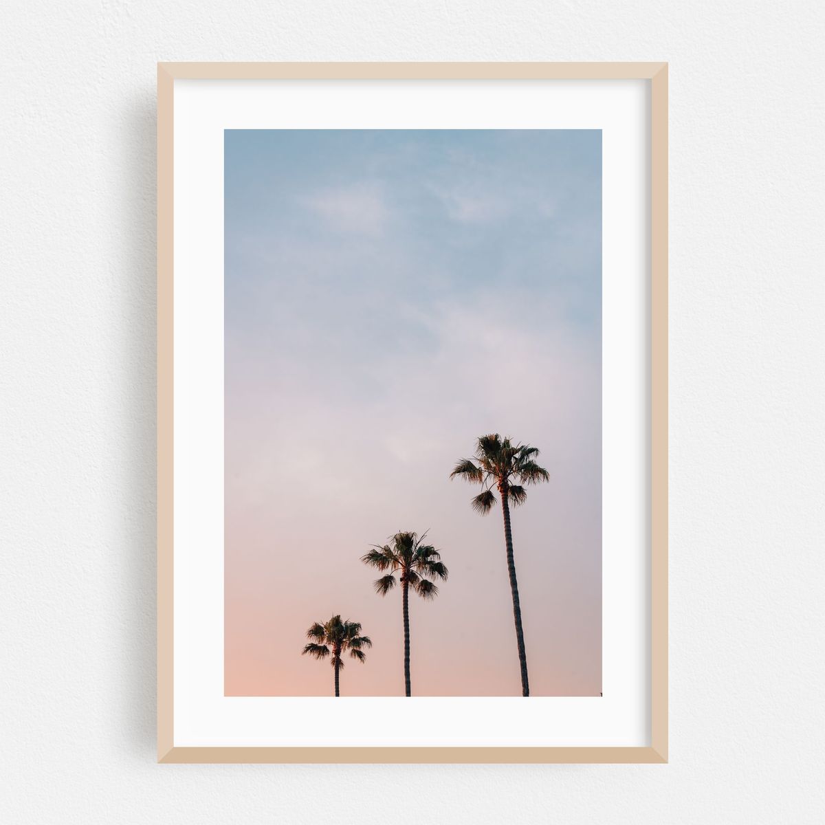 Sunset Palms – image 1 of 16