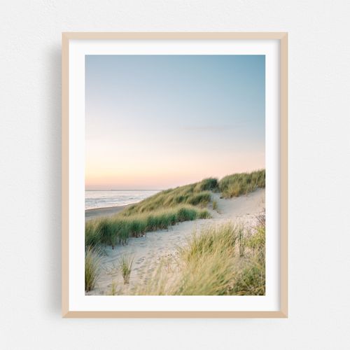 Dutch dunes
