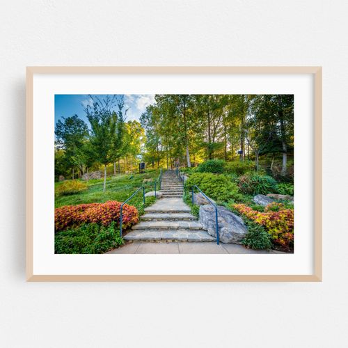 Path at Falls Park, Greenville 01