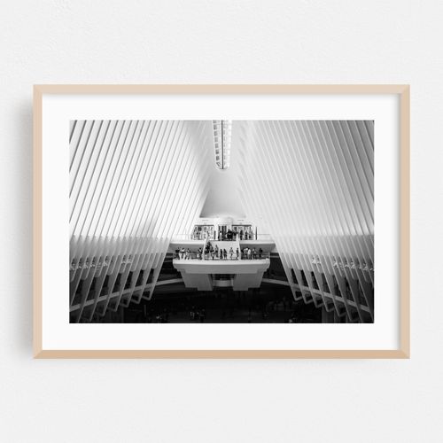 Oculus 04