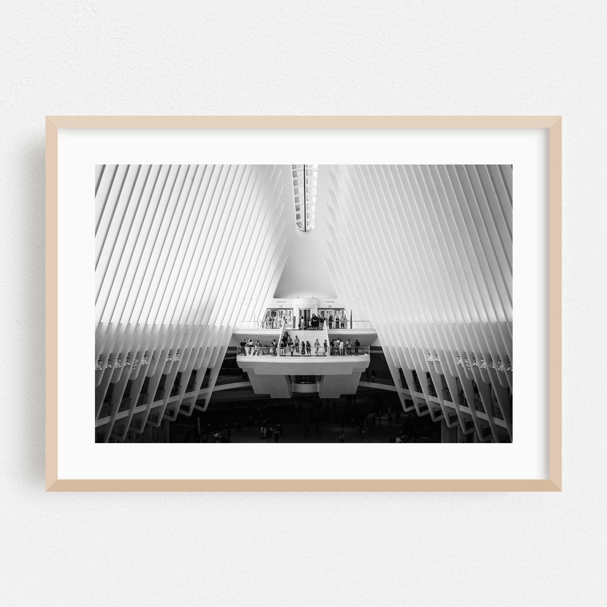 Oculus 04 – image 1 of 6
