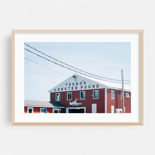 Young's Lobster Pound 02