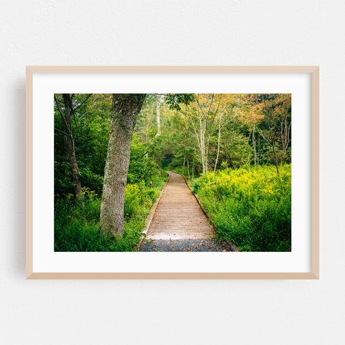 Limberlost Trail 02