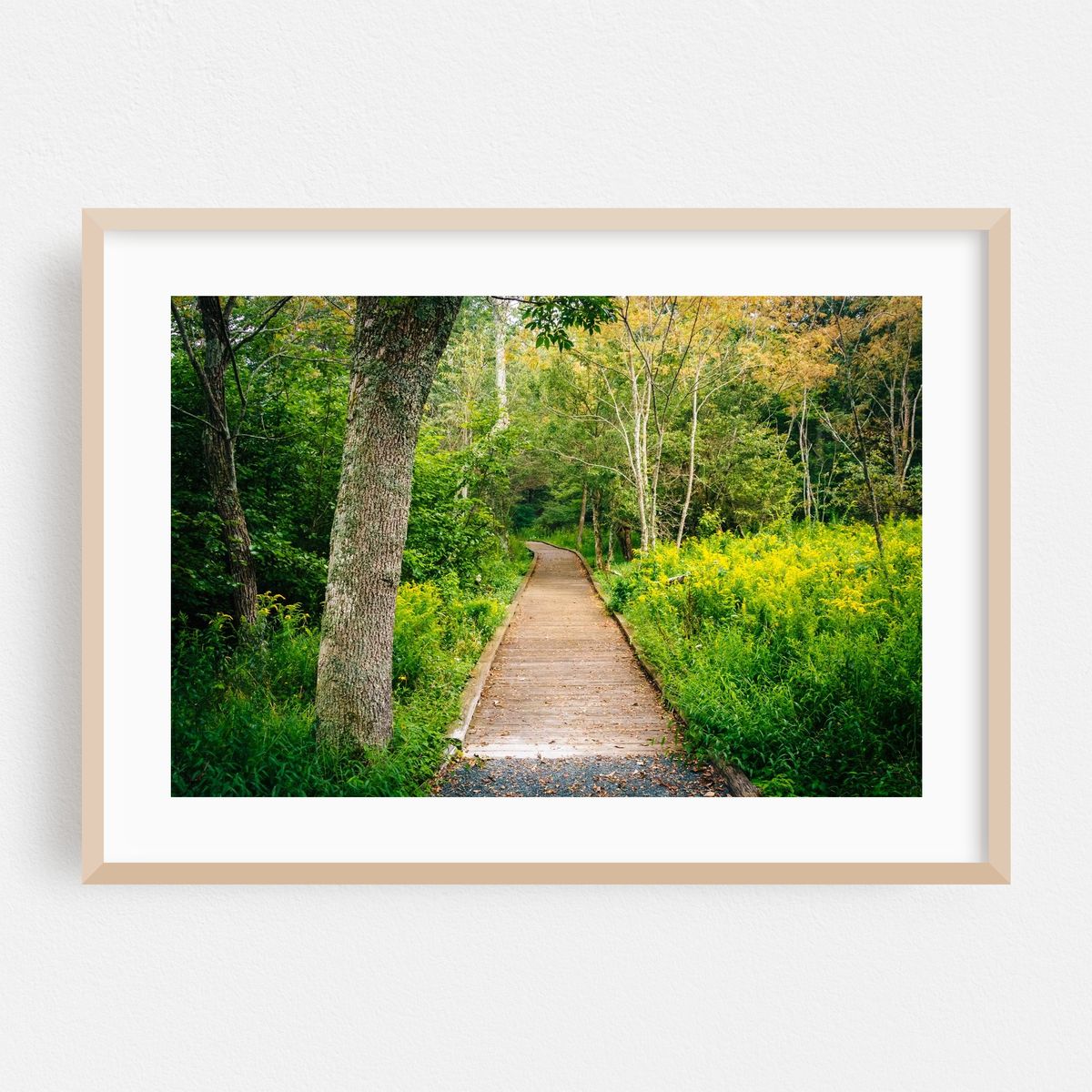 Limberlost Trail 02 – image 1 of 6